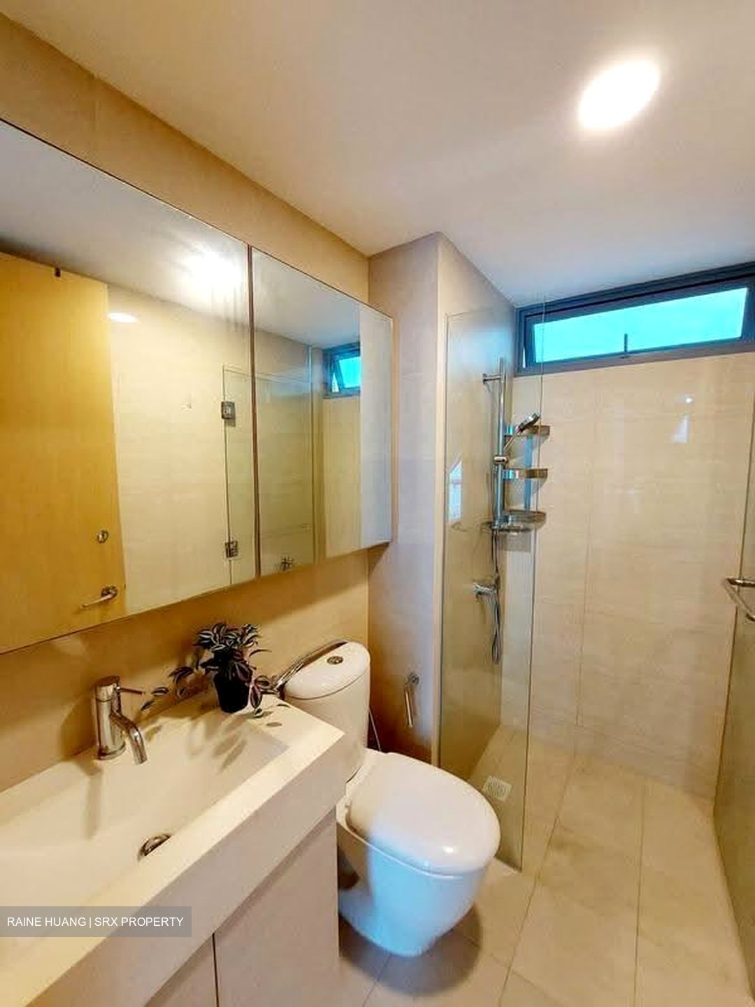 A Treasure Trove (D19), Condominium #621614441